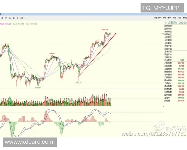 深入分析北京网球队的防守策略与战术执行细节