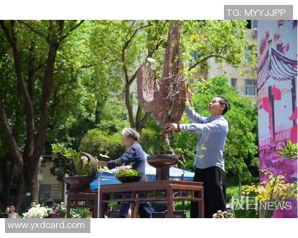 广州滑板队与武汉滑板队技术对比分析赛后复盘 广州滑板队与武汉滑板队技术对比分析赛后复盘