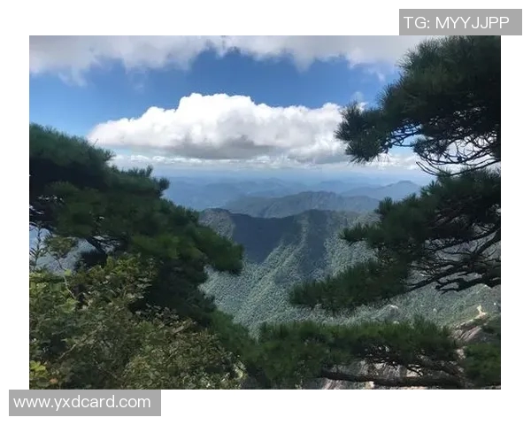 赛后分析：杭州羽毛球队与南京羽毛球队的战术意识与表现对比