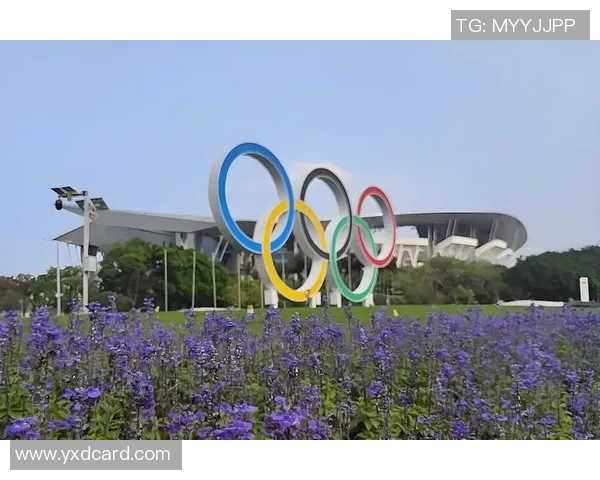 北京网球队耐力表现的数据分析与提升策略探讨